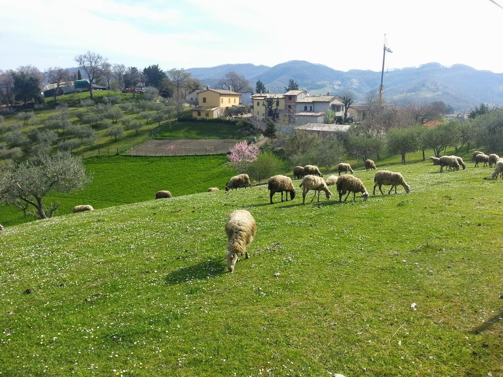 Casa Vittoria Apartman Piano Delle Pieve Szoba fotó